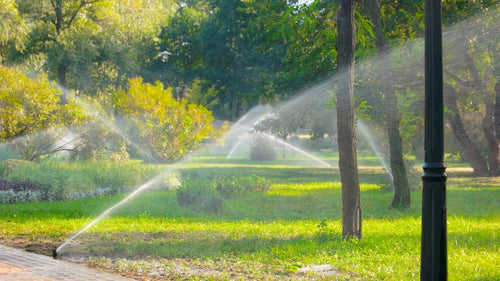 Why a Proper Irrigation System Matters