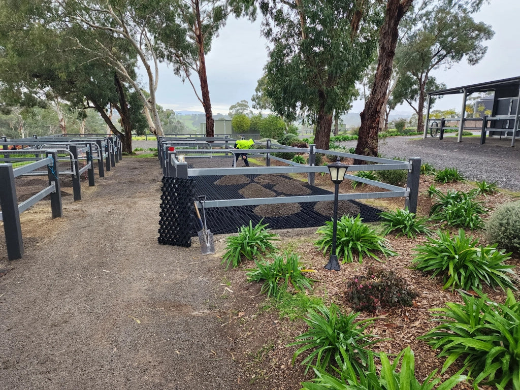 Safe & Durable Fencing for Your Horses