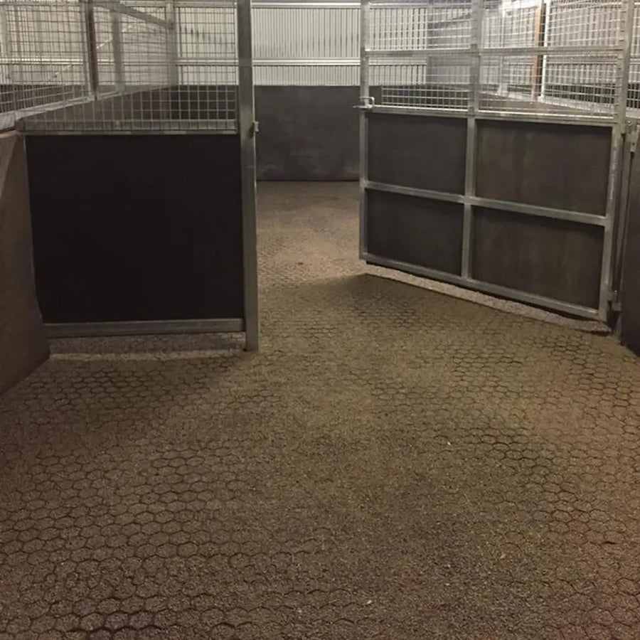 Choose MJD Landscaping—Trusted Horse Fencing Experts