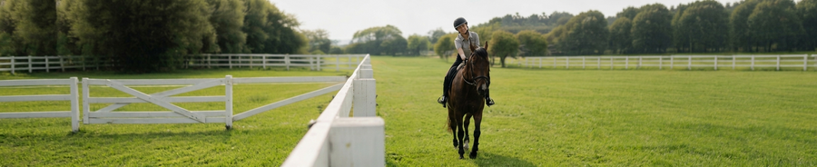 Secure & Reliable Horse Fencing
