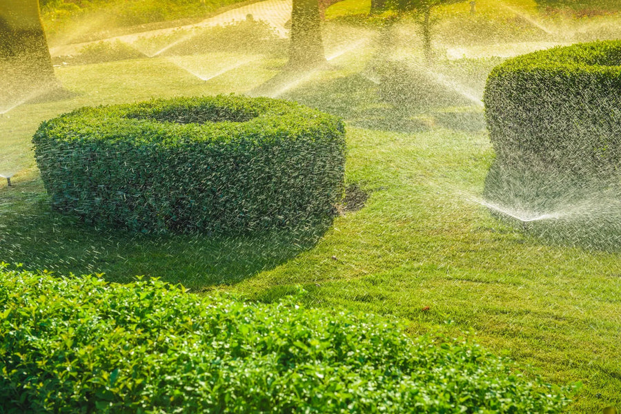 Reticulation & Irrigation