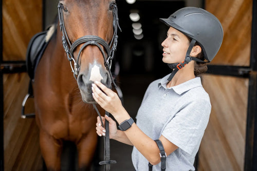 Why Quality Horse Fencing Matters