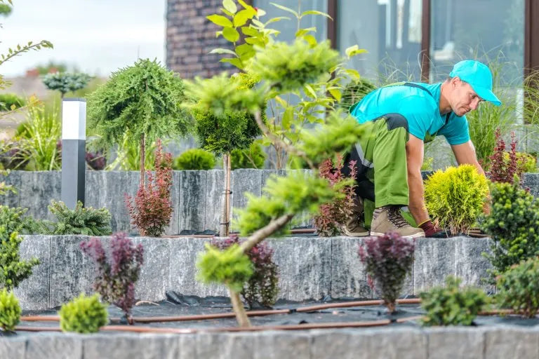 Choose MJD Landscaping—Reliable, Skilled & Ready to Transform Your Space