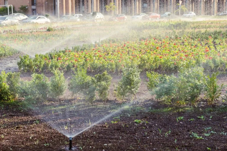 Efficient Watering Systems for Healthy Landscapes